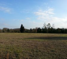 Avec un pépiniériste en guise de voisin, je sens que le décor plaira à plus d'une personne