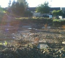 Longrines pos&eacute;e