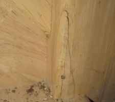 Un défaut sur l'escalier: à deux endroits un morceau de bois a était arraché et rattaché avec une clou