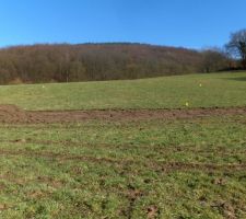 Terrain avant l'am&eacute;nagement