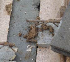 Poutrelle un peu juste à mon avis. Elle ne repose pas sur le parpaing.