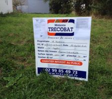 Le terrain ,4 chenes a abattre