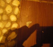 Un bout de joint qui part