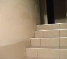 13 mars 2013 - Pose du carrelage dans les escaliers