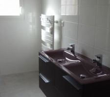 Salle de bain - meuble Eléa gris structuré   double vasque en verre fuschia