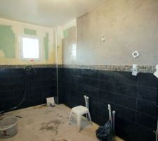 Grrr manque 1m2 d'anthracite (&agrave; gauche : invisible ici); on commence donc le gris clair ... "platinium" :-)