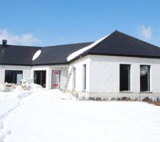 Début de la pose des cache-moineaux