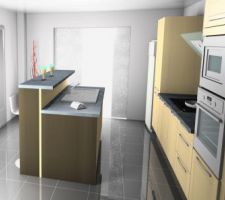 Notre projet définitif de cuisine