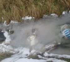 Nombreux d&eacute;chets sur le terrain, dans l'ancien foss&eacute;.