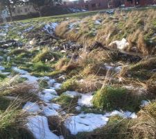 Nombreux d&eacute;ch&ecirc;ts sur le terrain.