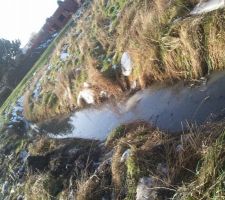 Foss&eacute; sur le terrain..