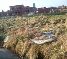 Autre vue du terrain. Avant que tout commence.