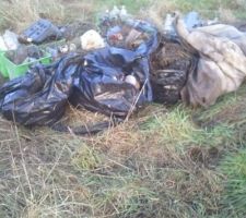 Nombreux d&eacute;ch&ecirc;ts sur le terrain.