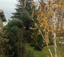 Chemin d'acc&egrave;s &agrave; cr&eacute;er