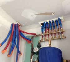 Le plafond du cellier