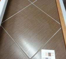 Carrelage de l'escalier.