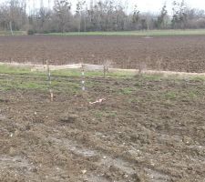 Implantation, coin nord