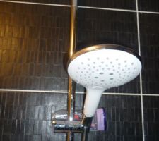 Le pommeau de la douche ne tient pas alors système gel douche pour qu'on puisse se laver sans le tenir.

La colonne de douche coûte prés de 500E et ne tient plus au bout de 3 semaines super!!!

On attend encore que le plombier passe nous remettre ça en ordre