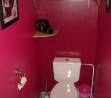 WC RDC : un peu d'amélioration d point de vue déco !