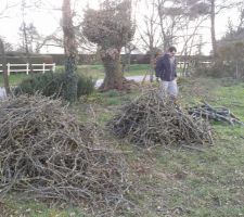 ... pleins de bûches !!