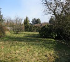 Implantation de la maison sur le terrain (piquets roses)