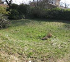 Implantation de la maison sur le terrain (piquets roses)