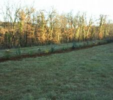 Plantation de la haie de bas du terrain