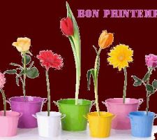 Pour fêter le printemps
