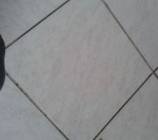 Carrelage du cellier