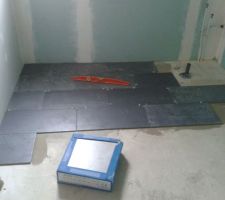 Début de la pose du carrelage de la salle de bain