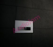 La plaque Geberit pour la chasse d'eau des WC.