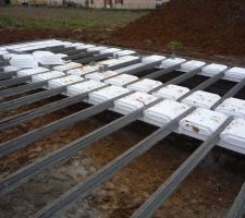 Vide sanitaire en cours