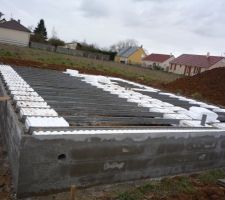 Vide sanitaire en cours