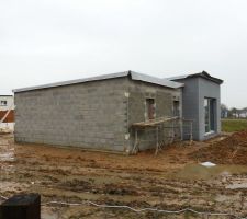 Crépis en cours !