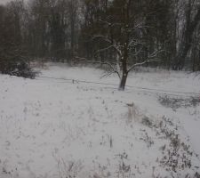 Le jardin sous la neige...