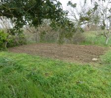 Préparation du terrain pour le potager ... juste a côté du puits ! ça me tarde d'y voir pousser tout plein de légumes :-)