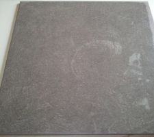 Choix carrelage pour toute la maison , gris fonc&eacute; 45 x 45 chez philibert

m&ecirc;me carrelage pour la terrasse de 40 m2