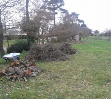 Le triste sort des 3 pommiers qui nous embêtaient sur le terrain...