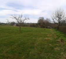 Le terrain tout nettoyé ! Le terrassier n'a plus qu'à venir enlever les souches et faire le chemin d'accès, et la construction pourra enfin commencer !!!