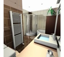 Aménagement de la salle de bain  (étage)