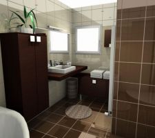 Am&eacute;nagement de la salle de bain  (&eacute;tage)