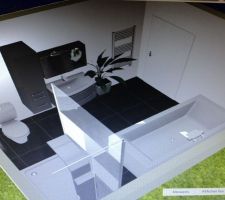 Voici notre future salle de bain!!!