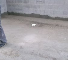 Après aspiration des 250 à 350 litres d'eau hier soir, la dalle ne beigne plus dans l'eau.
On ne voit pas sur la photo, mais elle est humide (ce qui n'est pas grave) mais on voit que les murs sont imprégnés (ce qui n'est pas grave non plus :D ) 
Maintenant que c'est couvert, et qu'il n'y a plus l'eau, ça va vite sécher.