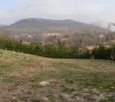 Photo du terrain 1253m², il est deja viabilisé , c'est un lotissement d'un lot , une haie fait deja 3 des 4 cotés, et le voisin a depuis deja cloturé le dernier coté (a gauche sur la photo)