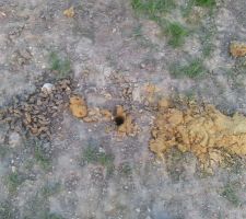 Un forage du terrain ; beaucoup d'argile finalement...