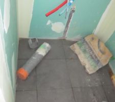 SDE emplacement simple vasque