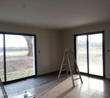 Salon, peinture beige br&egrave;che de Maestria