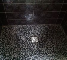 Fa&iuml;ence SDB RDC Douche