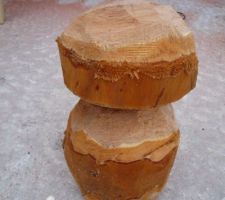 Cèpe géant taillé par un des charpentier dans un moment de détente !
Pièce d'un euro à gauche pour vous laisser apprécier la taille de ce champignon en bois !