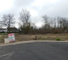 Derni&egrave;re photo de l'hiver avant nettoyage complet du terrain.